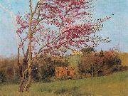 Blossoming Red Almond